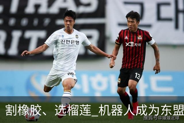 割橡胶、选榴莲 机器人成为东盟市场“新宠” 各国释放明确需求信号